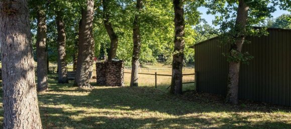 Ферма с 8 комнатами в Харбург, Германия № 289496 18