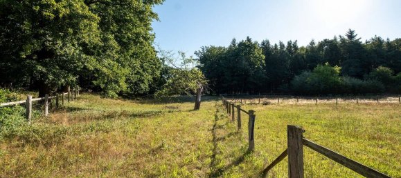 Ферма с 8 комнатами в Харбург, Германия № 289496 15