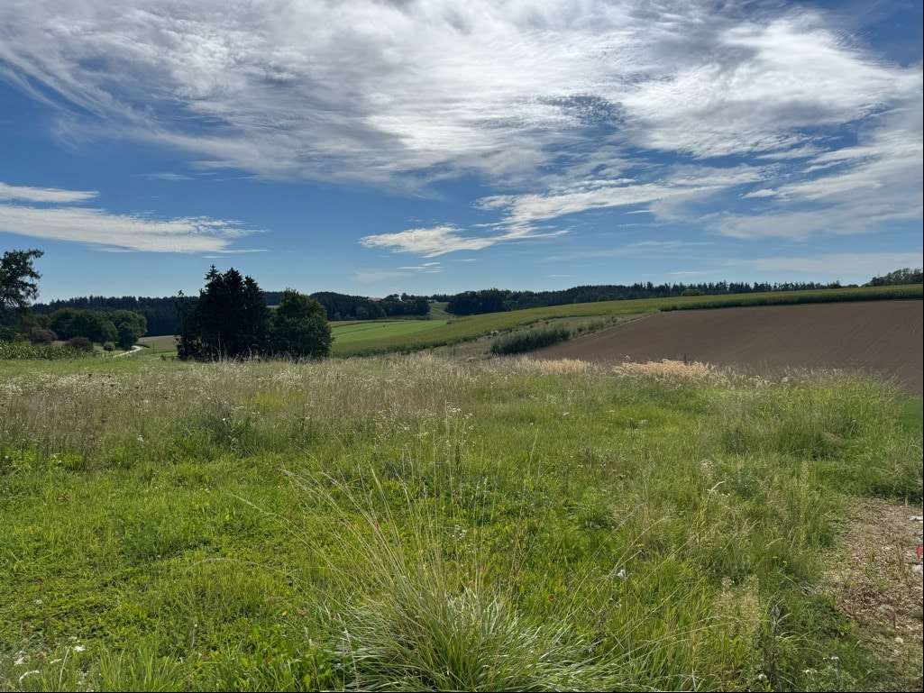  قطعة أرض في Freising, Germany رقم 319616