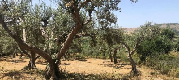 6 bedrooms House in Palazzolo Acreide, Italy No. 365020 27