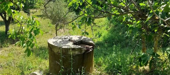 6 bedrooms House in Palazzolo Acreide, Italy No. 365020 41