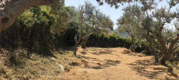 6 bedrooms House in Palazzolo Acreide, Italy No. 365020 25