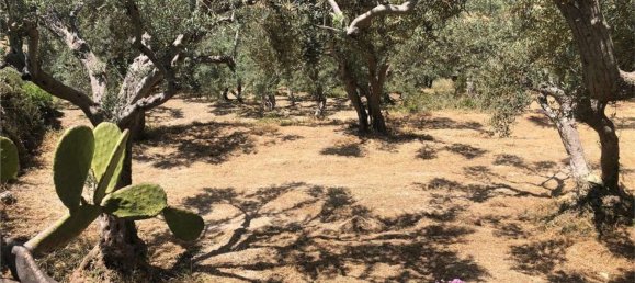 6 bedrooms House in Palazzolo Acreide, Italy No. 365020 28