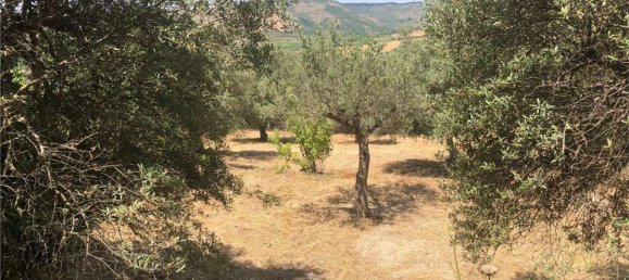 6 bedrooms House in Palazzolo Acreide, Italy No. 365020 29