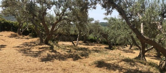 6 bedrooms House in Palazzolo Acreide, Italy No. 365020 26