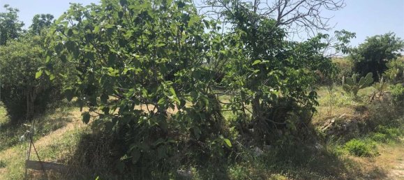 6 bedrooms House in Palazzolo Acreide, Italy No. 365020 8