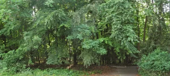 Квартира с 2 комнатами в Рейн-Эрфт, Германия № 149822 4