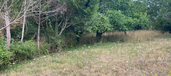 Casa de 3 dormitorios en Pouligny-Saint-Pierre, France No. 310747 3