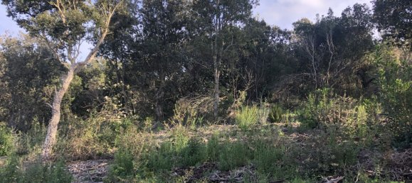 5848m² Land in Figari, France No. 93108 15