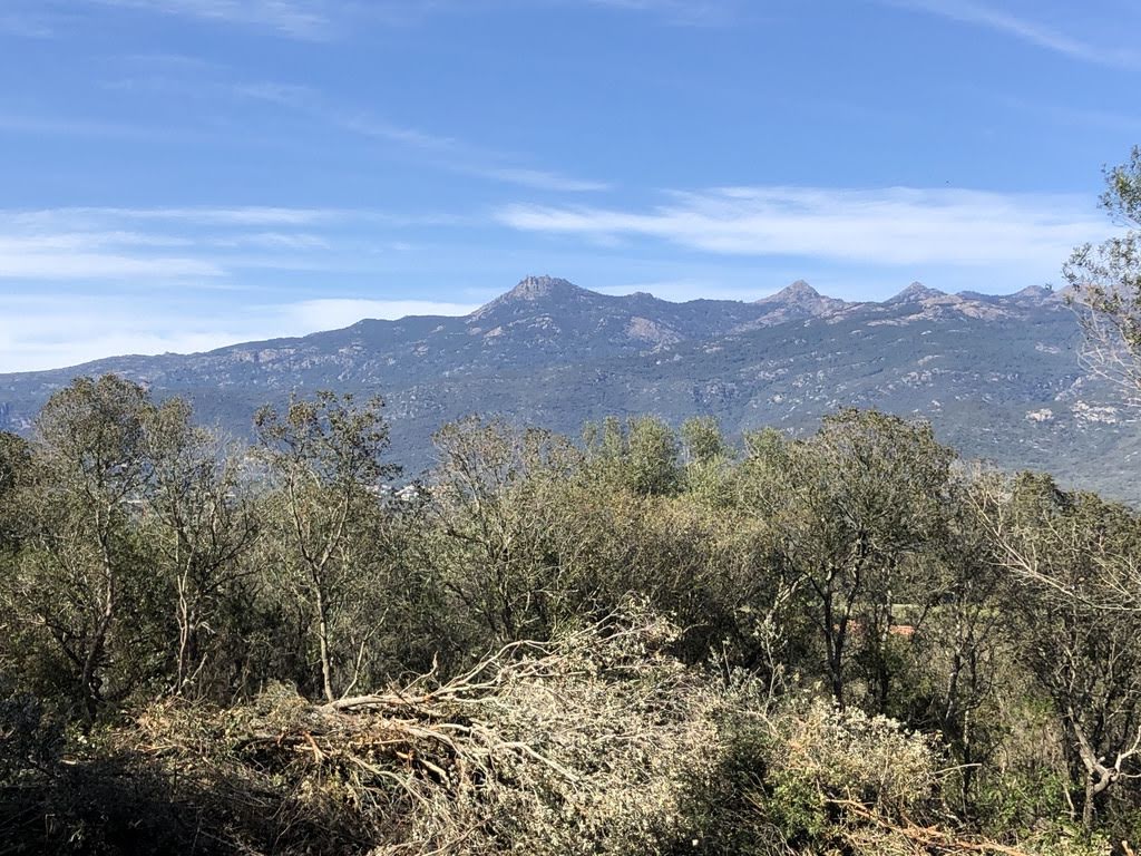 5848m² Land in Figari, France No. 93108