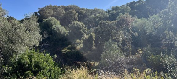 5848m² Land in Figari, France No. 93108 17