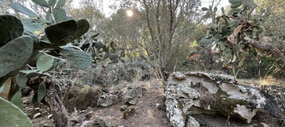 5848m² Land in Figari, France No. 93108 21