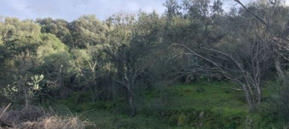 5848m² Land in Figari, France No. 93108 12