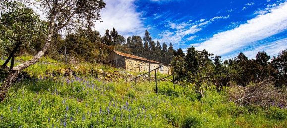 Дом с 3 спальнями в Байан, Португалия № 26827 12