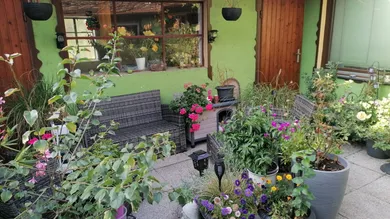 5غرفة منزل في Retz, Austria رقم 233682