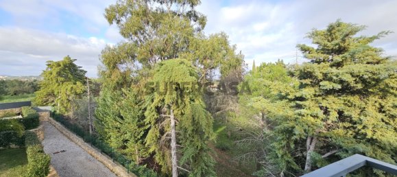 Casa de 3 dormitorios en Silves, Portugal No. 156513 44