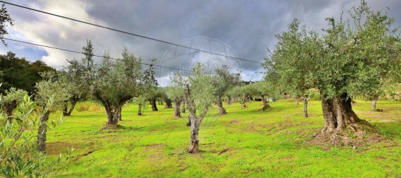 4 chambres Maison à Guarda, Portugal No. 27794 37
