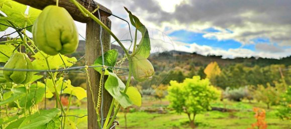 4 chambres Maison à Guarda, Portugal No. 27794 40