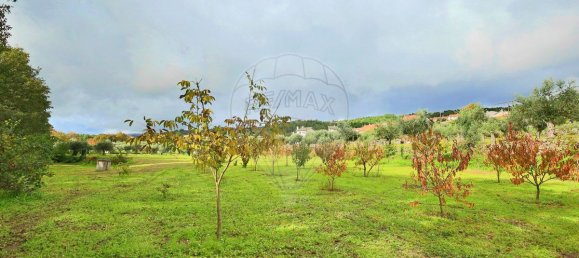 4 chambres Maison à Guarda, Portugal No. 27794 38