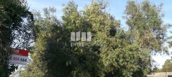 Земельный участок 1190м² в Сейшаш, Португалия № 93780 6