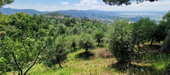 7-salle Villa à Massarosa, Italy No. 84002 45