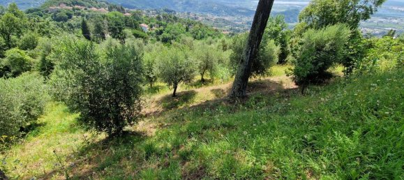 7-salle Villa à Massarosa, Italy No. 84002 44