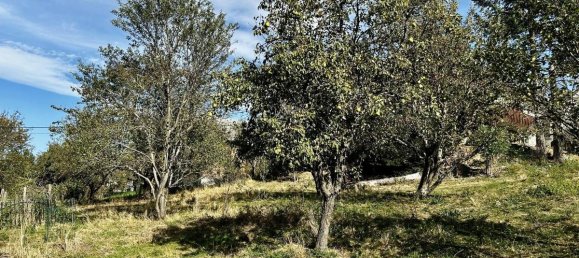 9غرفة منزل في St. Andra-Wordern, Austria رقم 157258 7