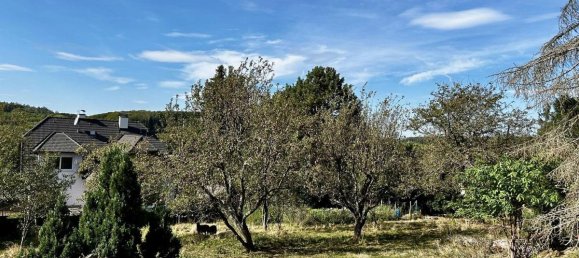 9غرفة منزل في St. Andra-Wordern, Austria رقم 157258 6