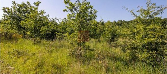 101030m² Land in Le Controis-en-Sologne, France No. 309623 8