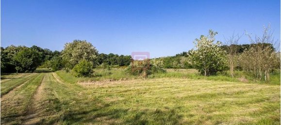 101030m² Land in Le Controis-en-Sologne, France No. 309623 5