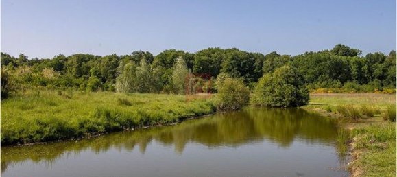 101030m² Land in Le Controis-en-Sologne, France No. 309623 3