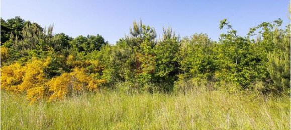 101030m² Land in Le Controis-en-Sologne, France No. 309623 6