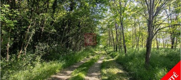 101030m² Land in Le Controis-en-Sologne, France No. 309623 2