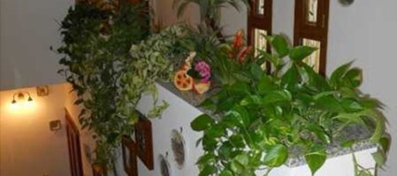 5 rooms Penthouse in Palaia, Italy No. 111535 7