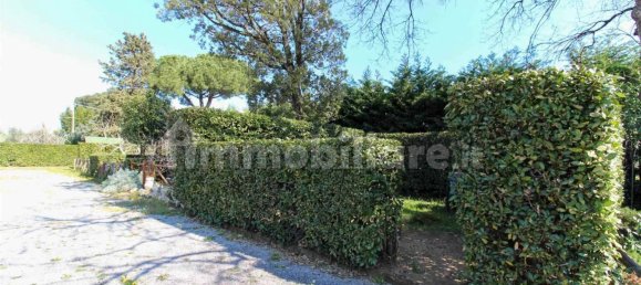 1 bedroom Apartment in Cecina, Italy No. 79806 16