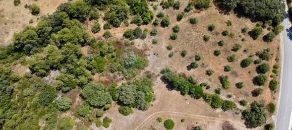  Land in Alcanena, Portugal No. 232298 13