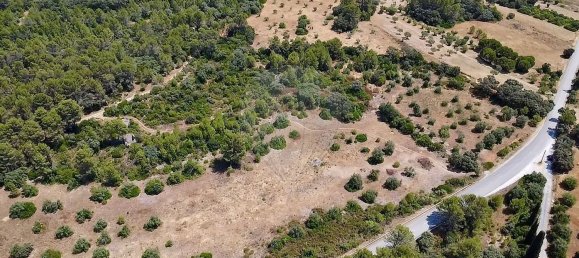  Land in Alcanena, Portugal No. 232298 16