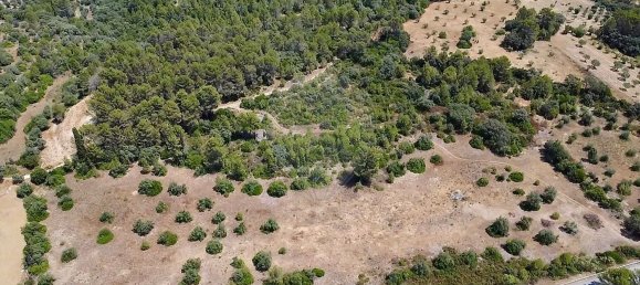  Land in Alcanena, Portugal No. 232298 17