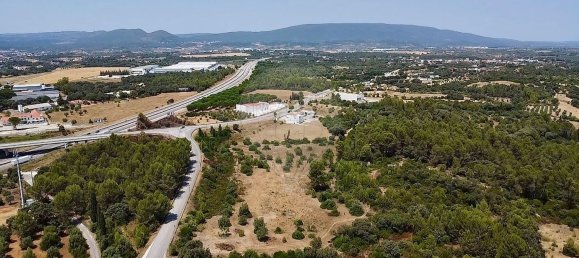  Land in Alcanena, Portugal No. 232298 10