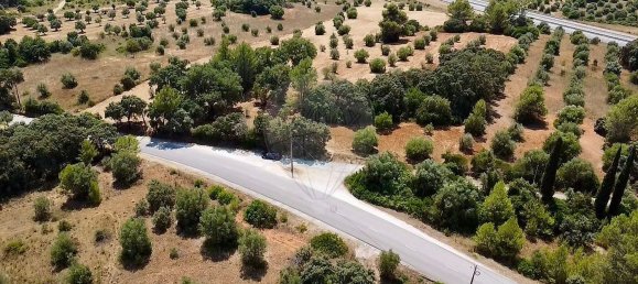  Land in Alcanena, Portugal No. 232298 14