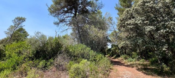  Land in Alcanena, Portugal No. 232298 8