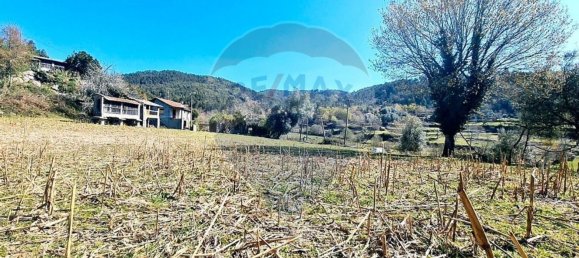 2300m² Land in Mosteiro, Portugal No. 34044 31