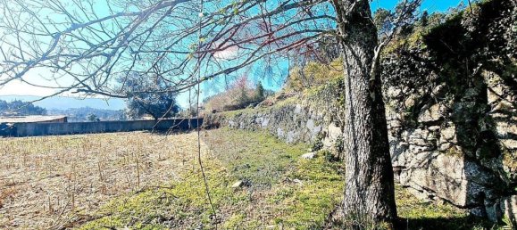 2300m² Land in Mosteiro, Portugal No. 34044 3