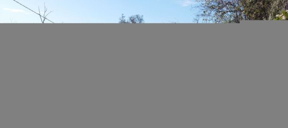 2300m² Land in Mosteiro, Portugal No. 34044 7