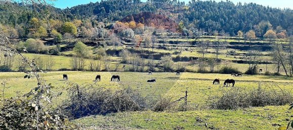 2300m² Land in Mosteiro, Portugal No. 34044 35