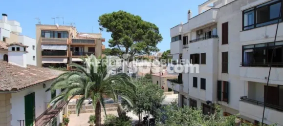 2 غرف نوم شقة في Manacor, Spain رقم 172136 32