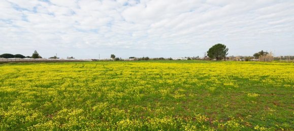 Grundstück in Vittoria, Italy 12000m², Nr. 235469 6