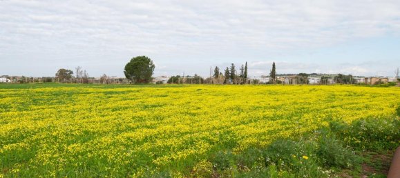 Grundstück in Vittoria, Italy 12000m², Nr. 235469 11