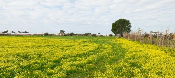 Grundstück in Vittoria, Italy 12000m², Nr. 235469 9