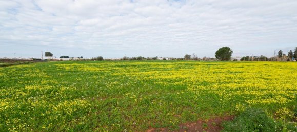 Grundstück in Vittoria, Italy 12000m², Nr. 235469 4